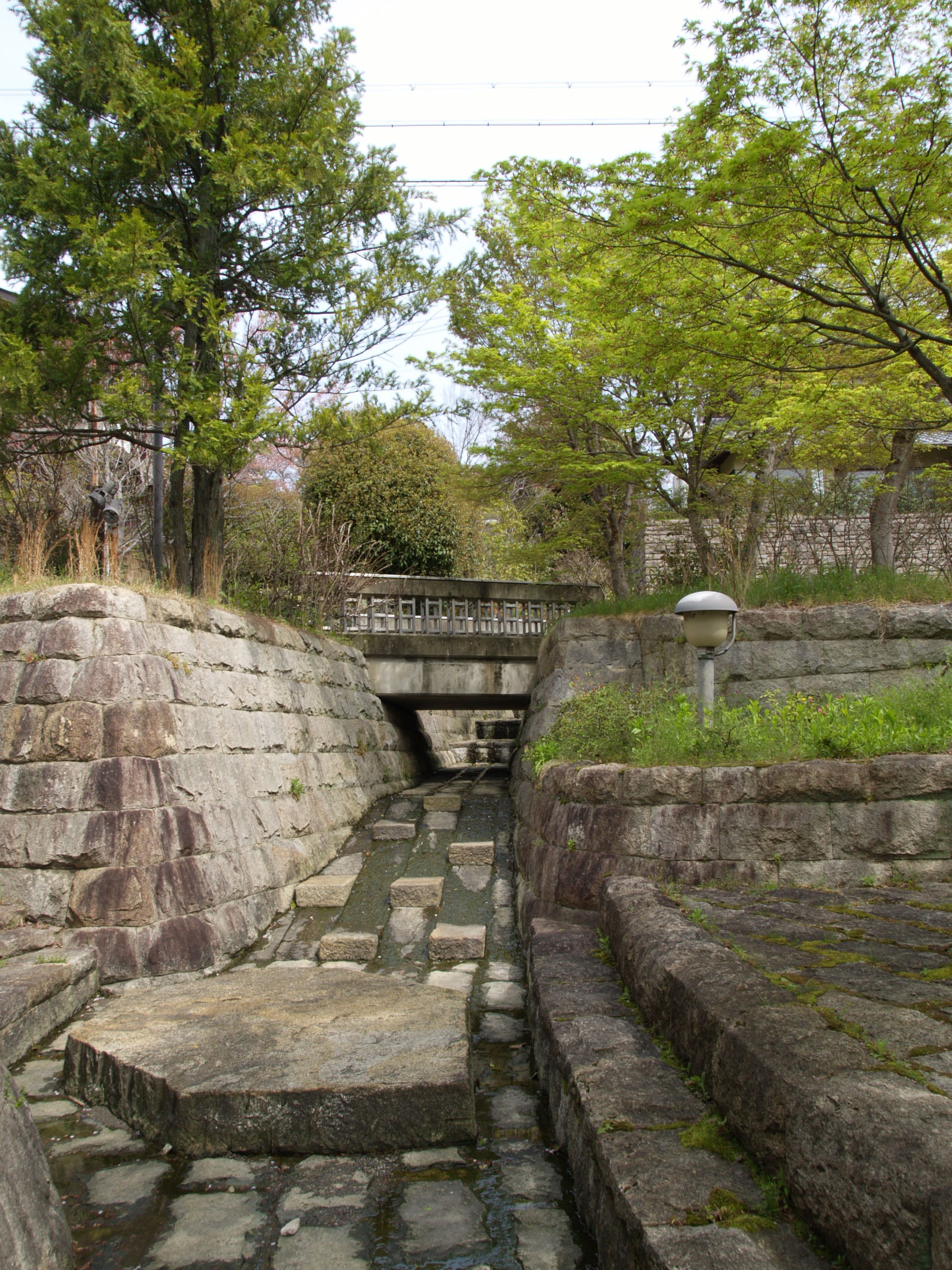 桂坂緑地