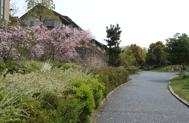 桂坂公園
