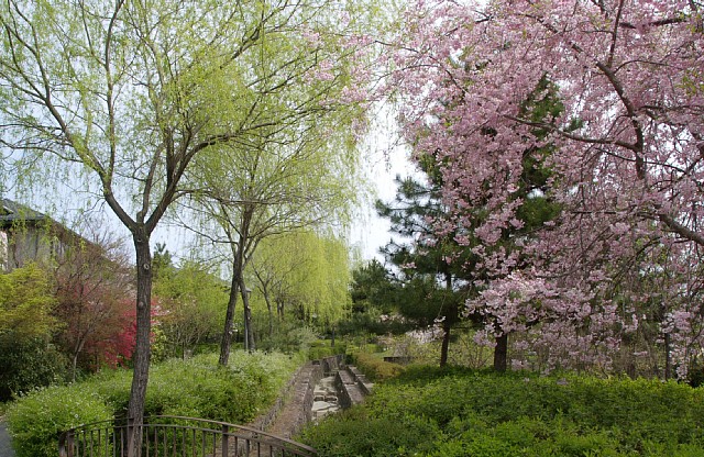 如月の公園