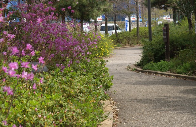 山の里公園