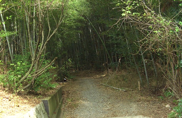 竹藪の道