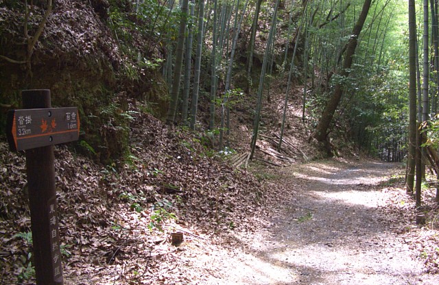 地道