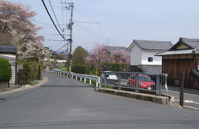 上桂