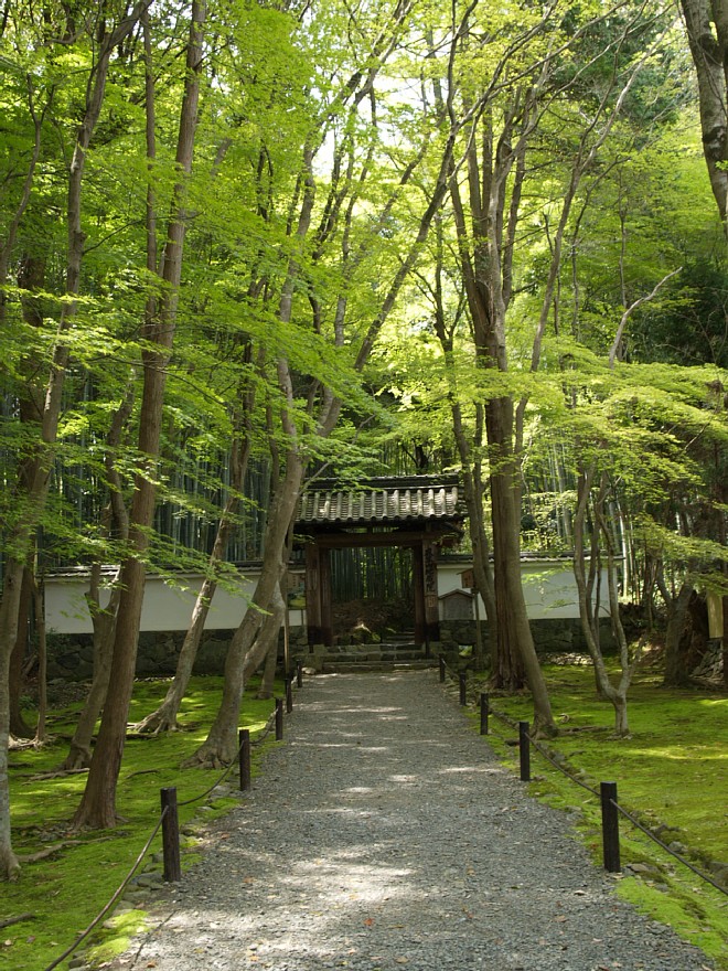 竹の寺