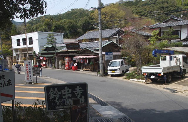 苔寺・すず虫寺バス停