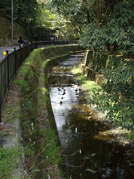 西芳寺川