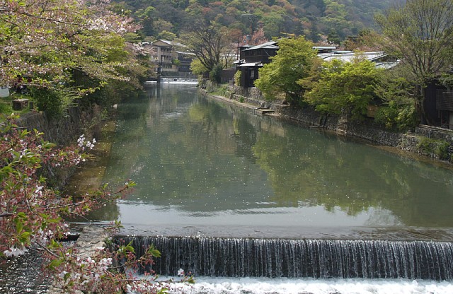 桂川と中之島
