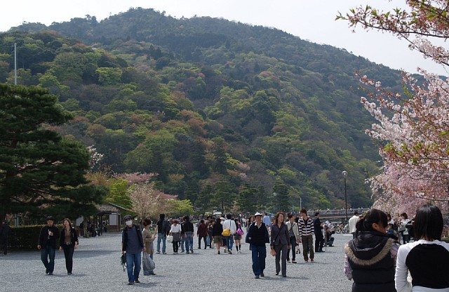 中之島地区