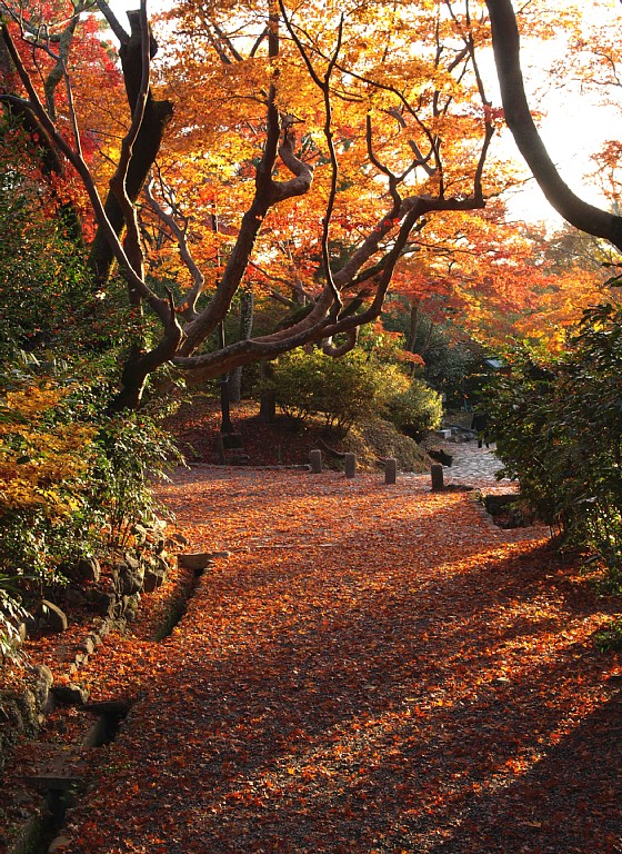 亀山公園