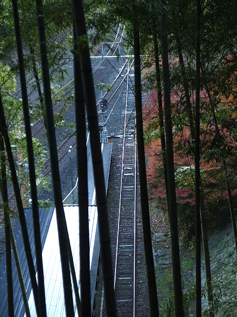 トロッコ嵐山駅