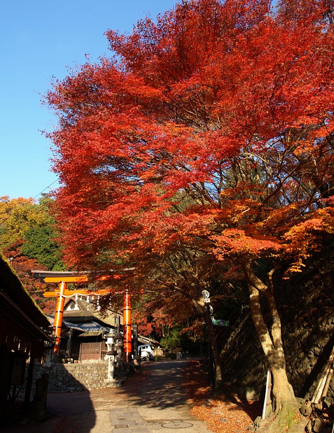 鳥居本へ