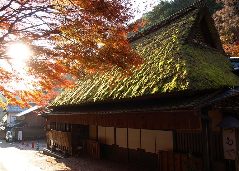 苔屋根