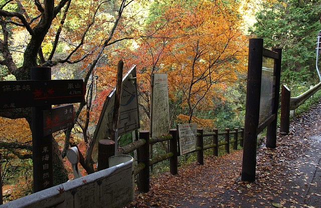 清滝川河岸へ下る