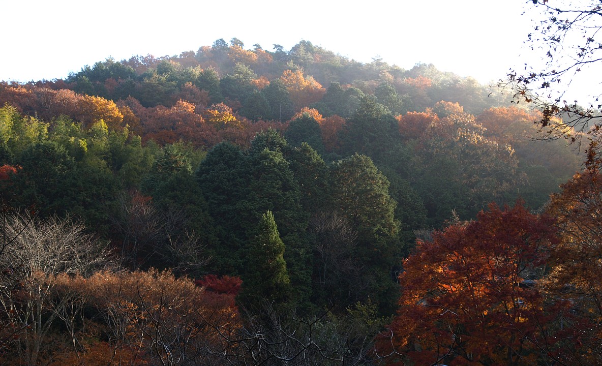 金鈴峡の紅葉