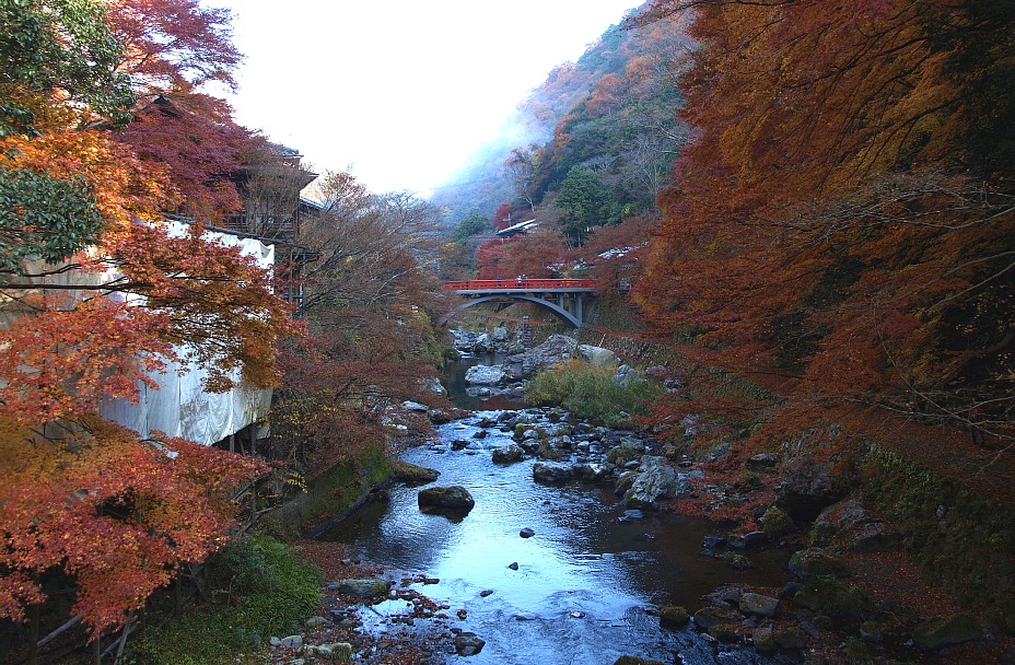 渡猿橋