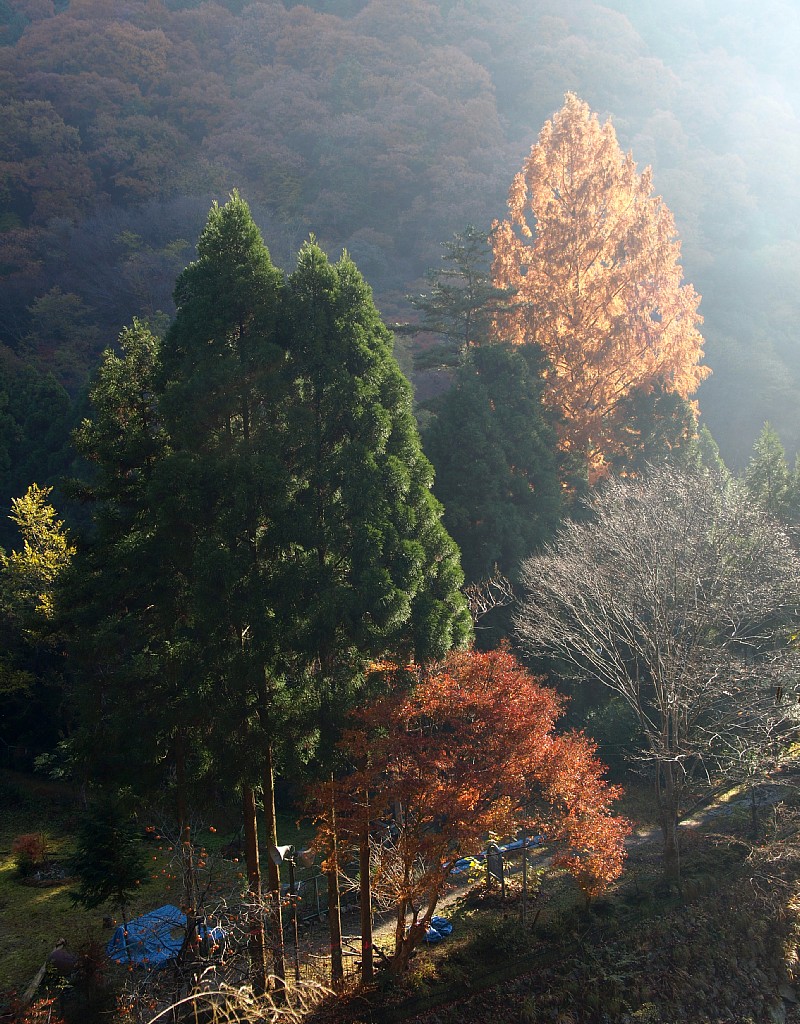 清滝川対岸