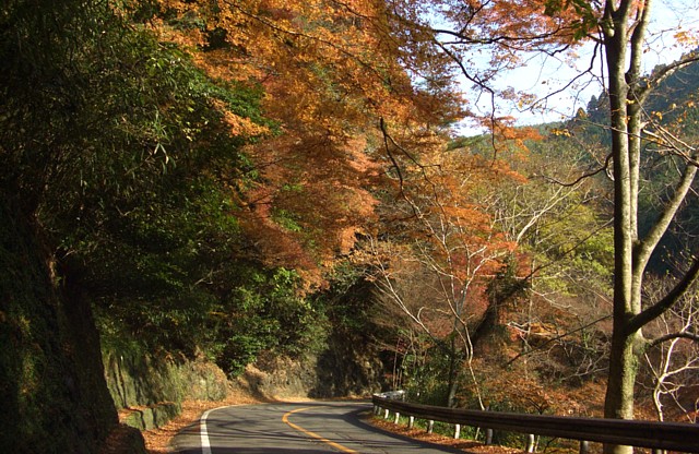 国道162号