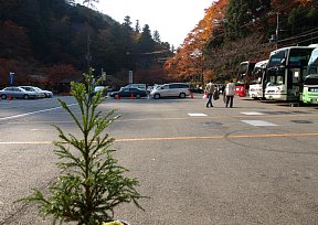 高雄観光駐車場