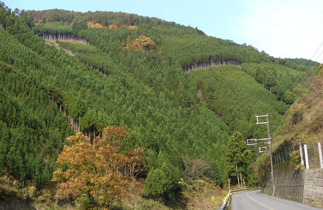 周山街道