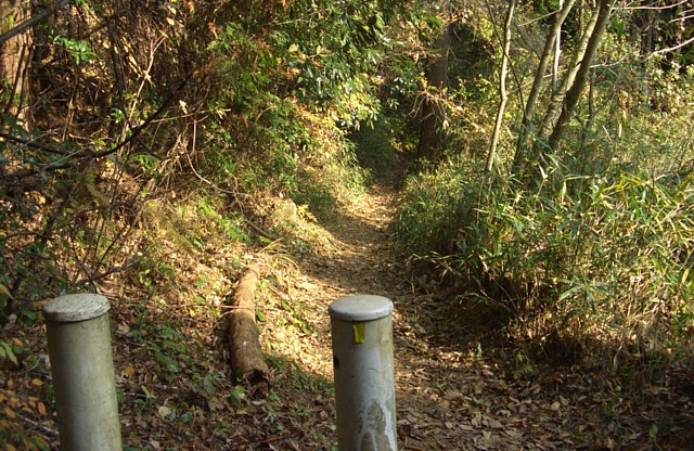 下山道