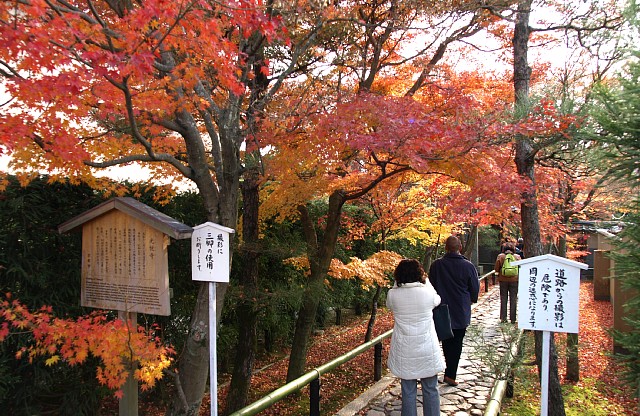 光悦寺参道