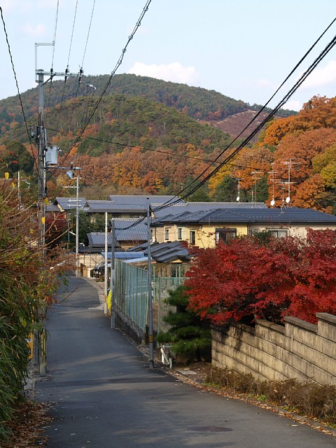 氷室道