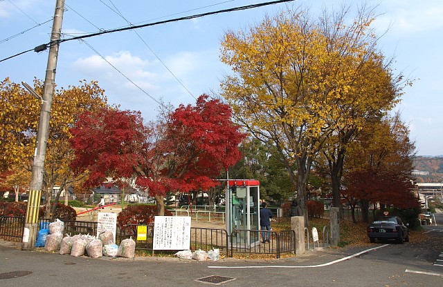 川上公園