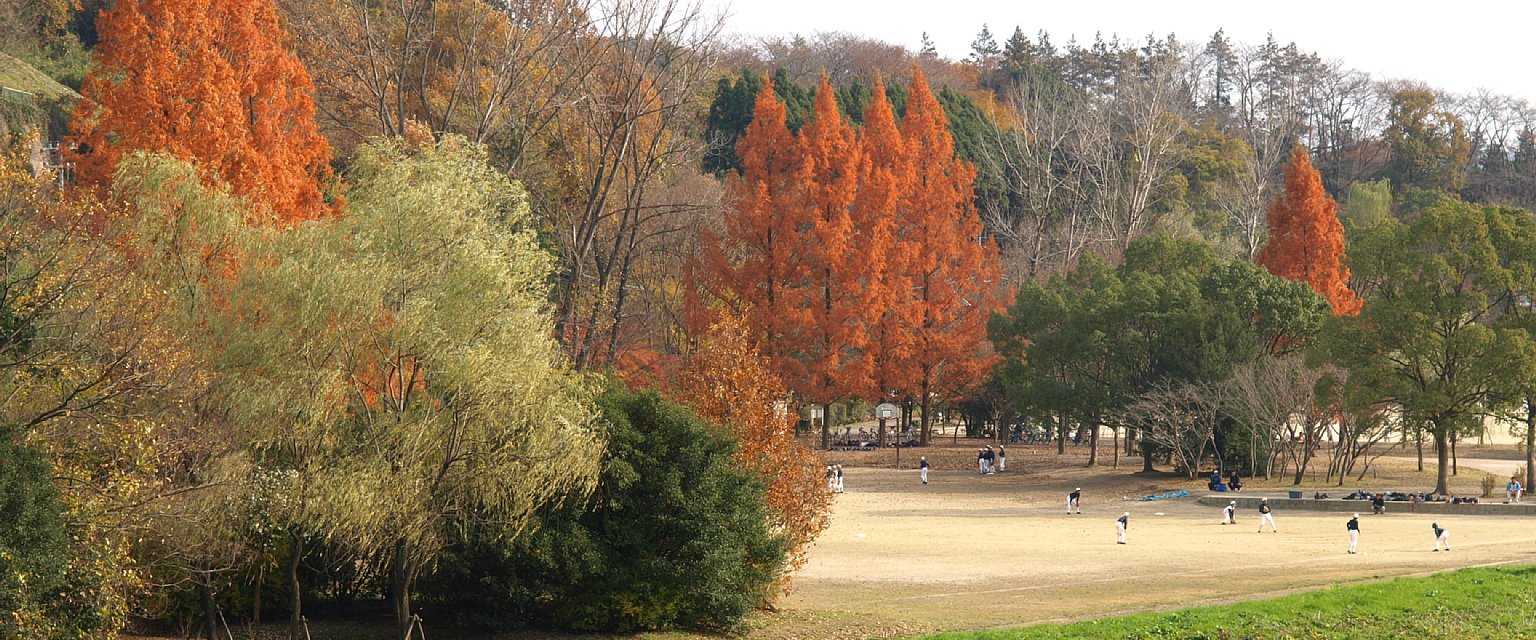 賀茂川公園運動場