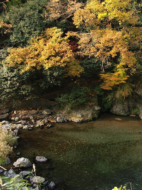 賀茂川