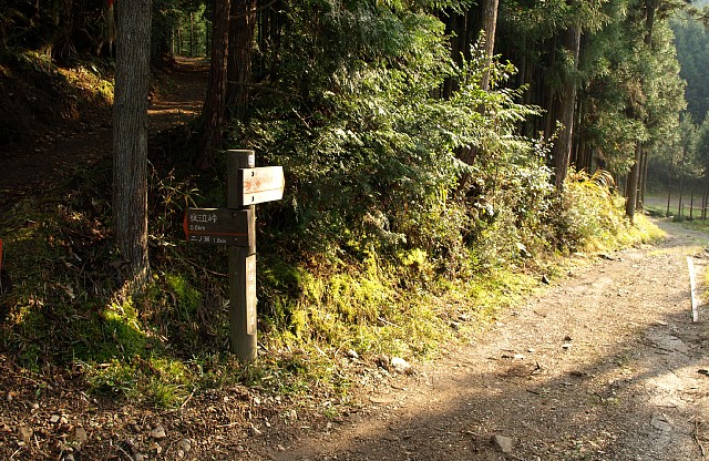 登山道