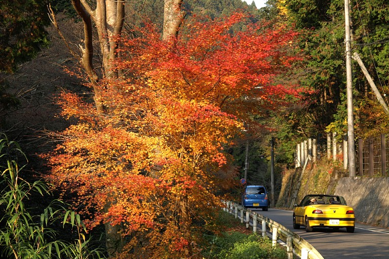鞍馬川沿いの道