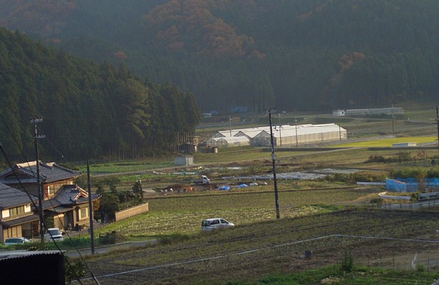山間の田園地帯