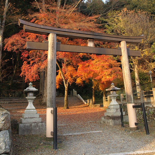 静原神社の鳥居