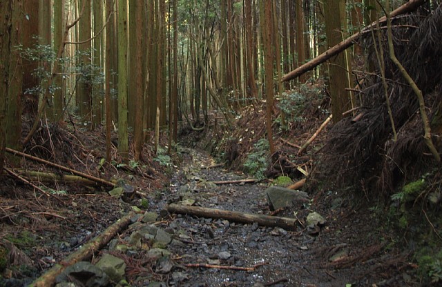 江文峠から下る