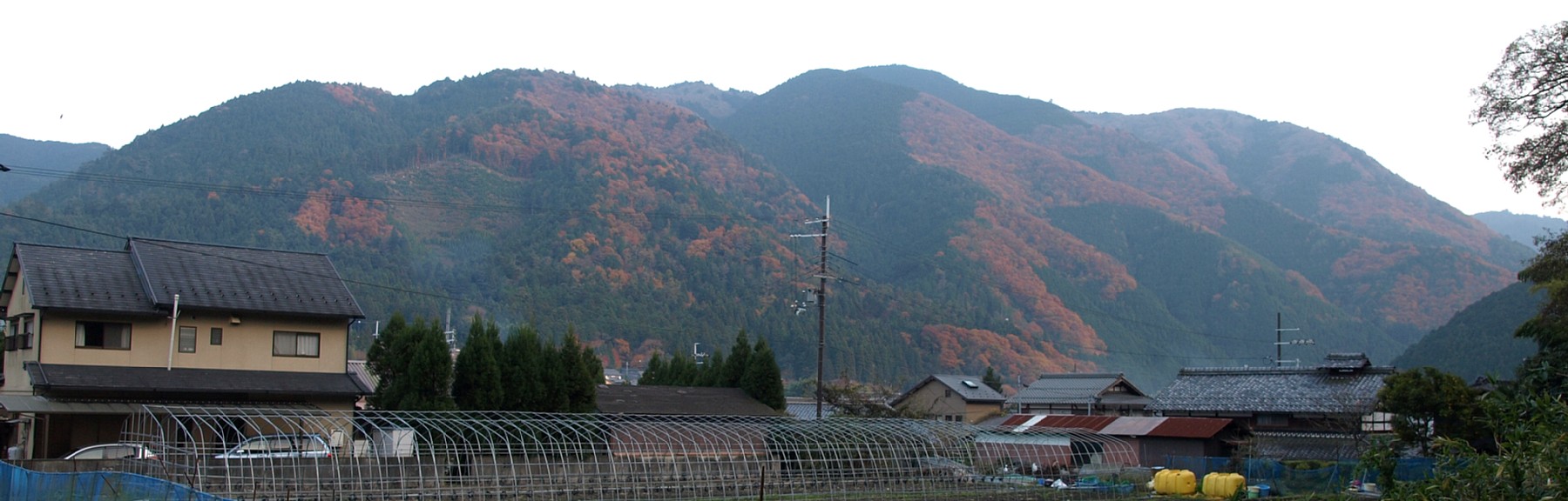 水井山・横高山