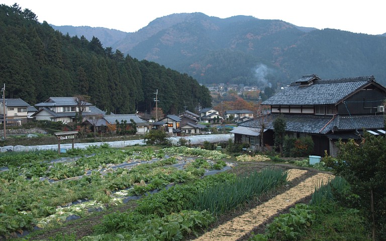 大原