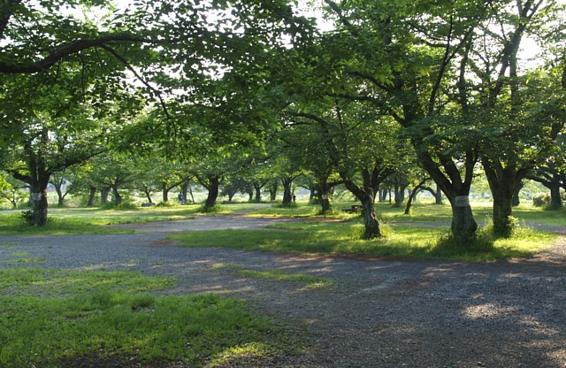 嵐山公園