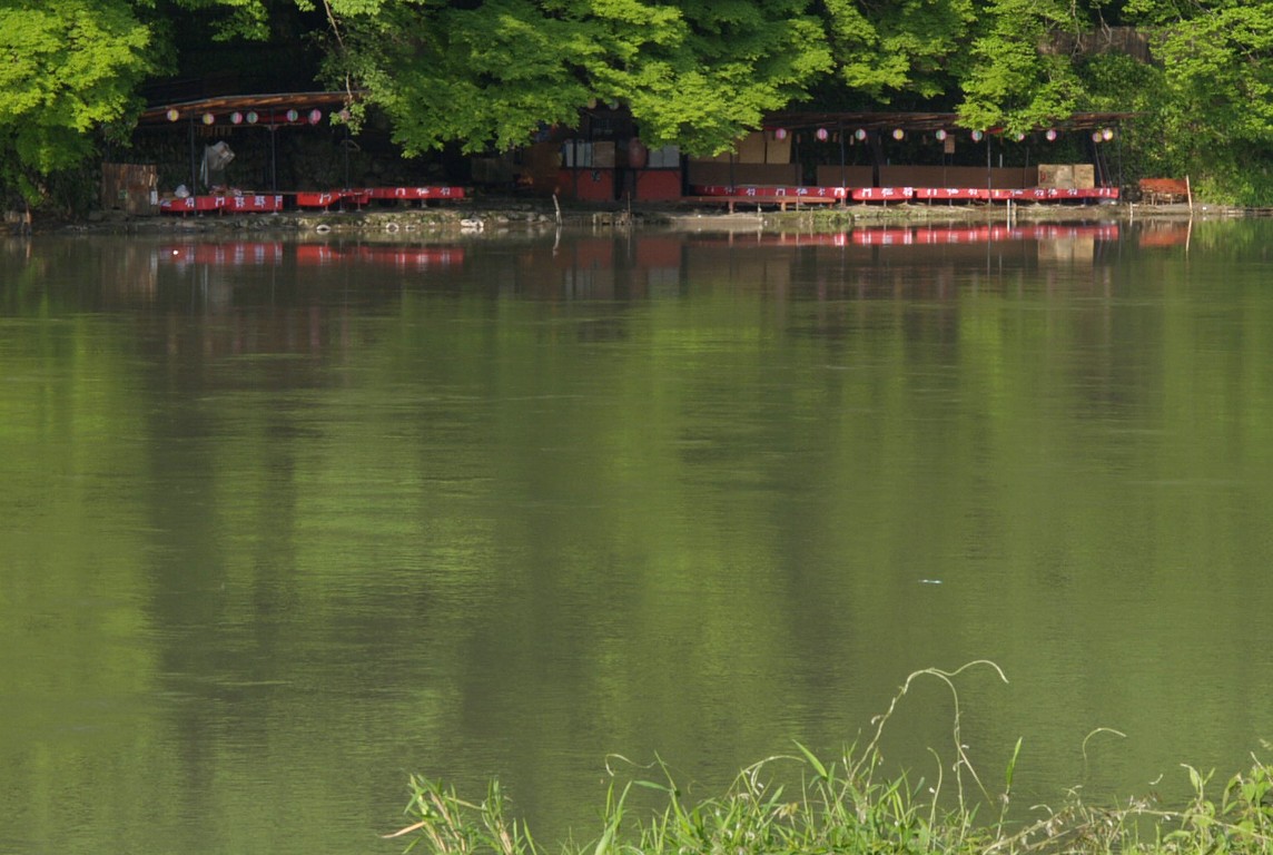 新緑の大堰川