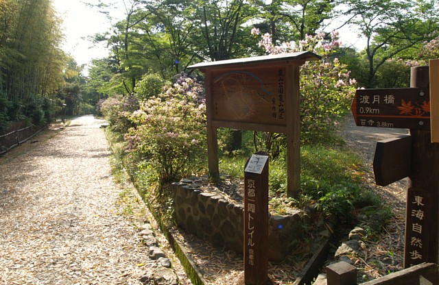 亀山公園