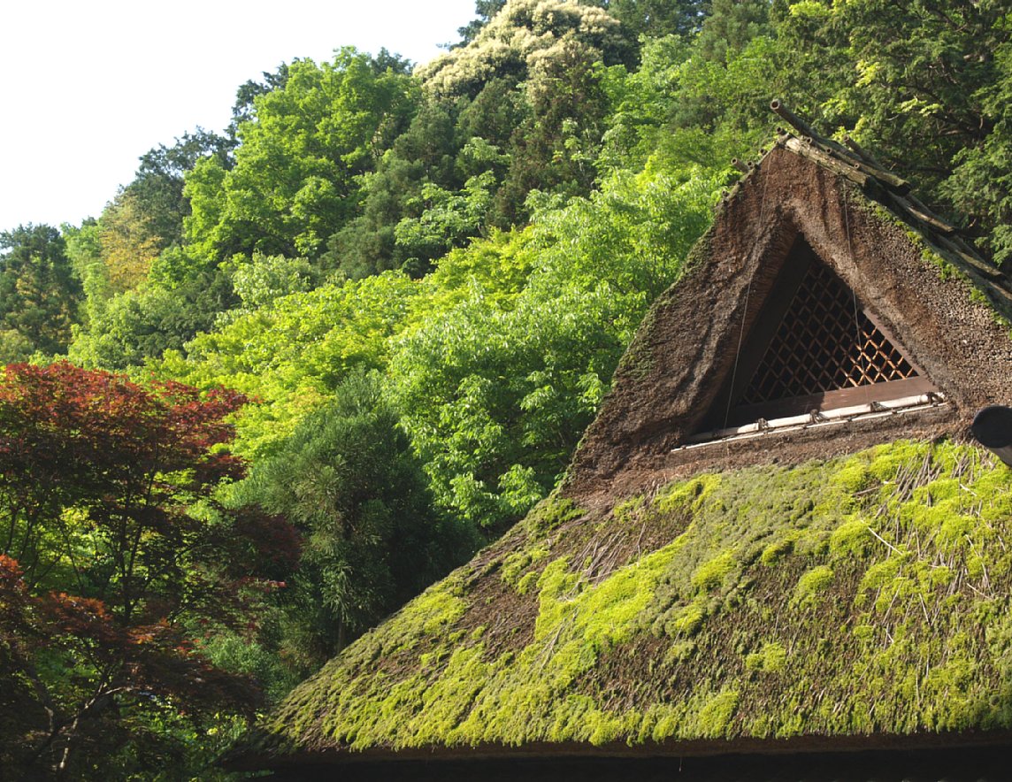 苔の藁葺き