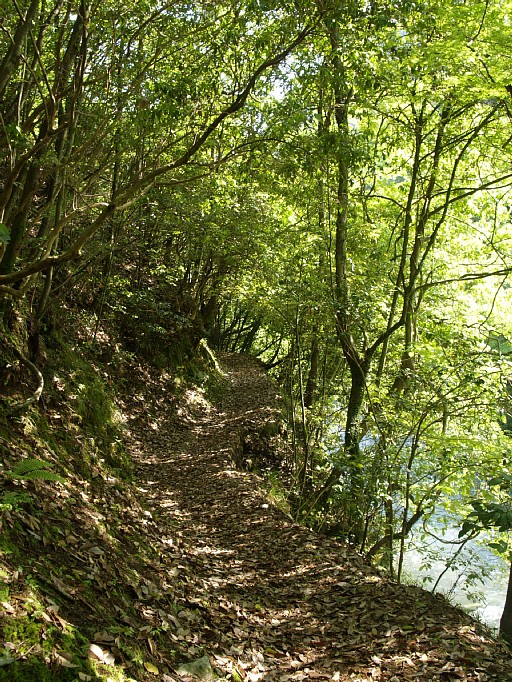 金鈴峡・右岸道