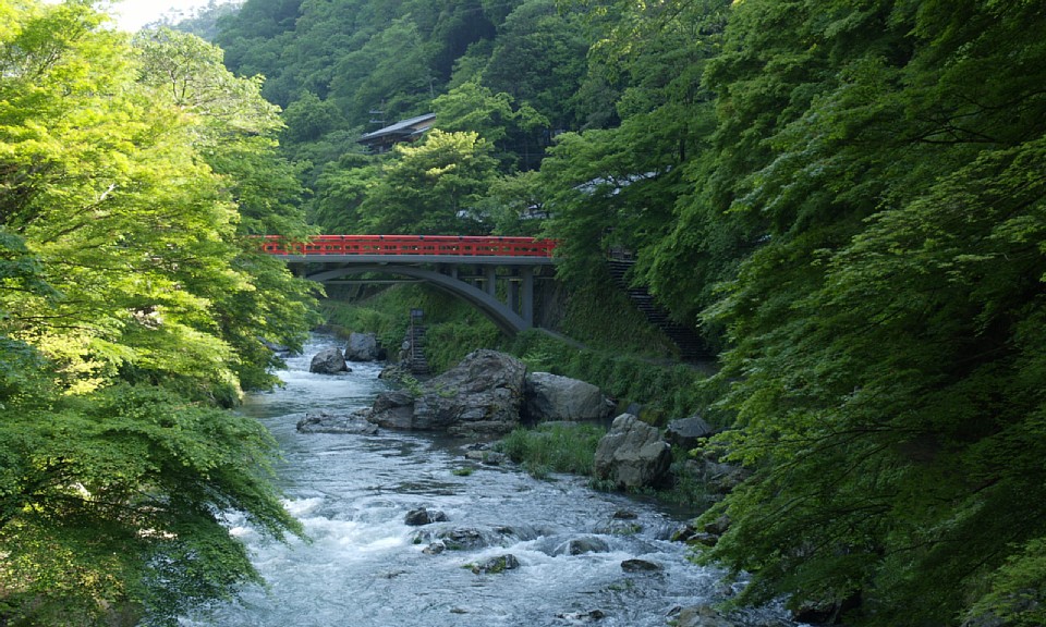 清滝川上流