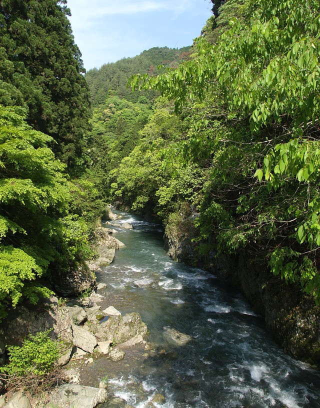 清滝川を見下ろす