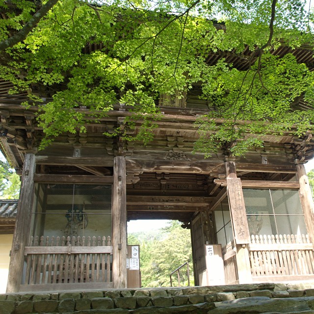 神護寺山門