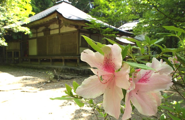 高山寺開山堂