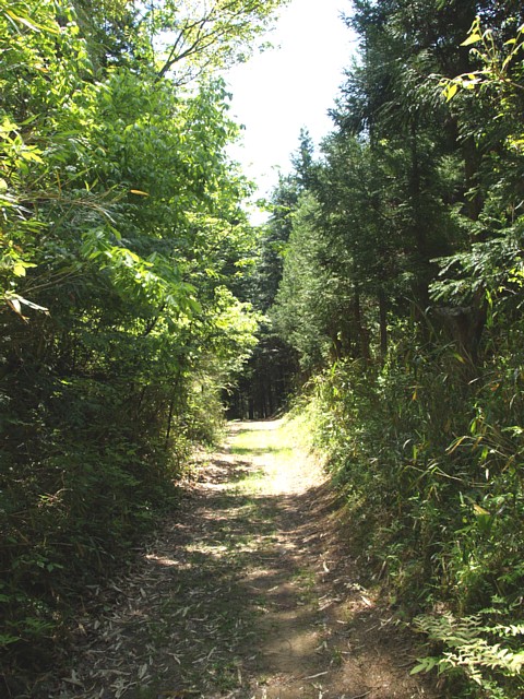 上ノ水峠