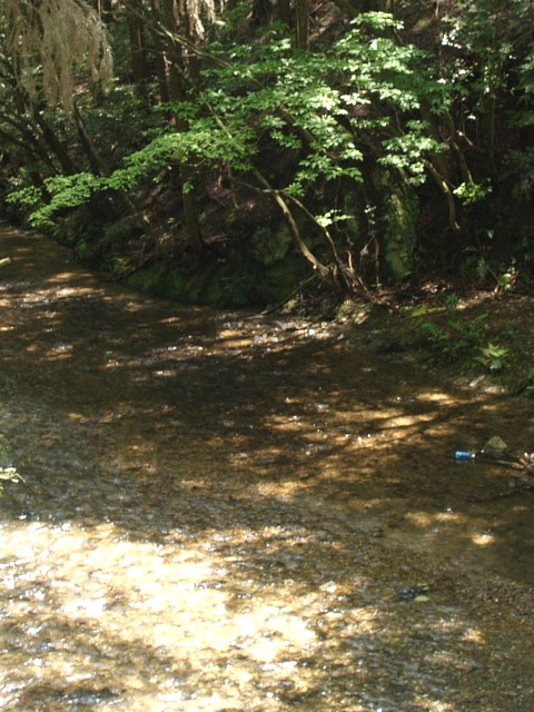 紙屋川