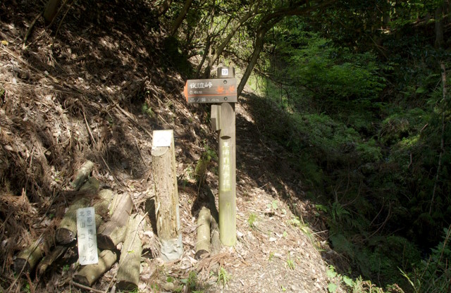 夜泣峠登山道