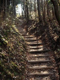 丸木階段