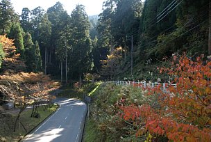 奥比叡ドライブウェイを渡る